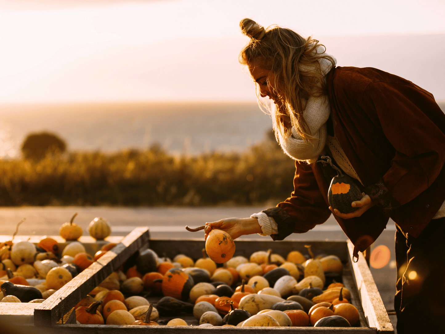 Ölands Skördefest - en fest för alla