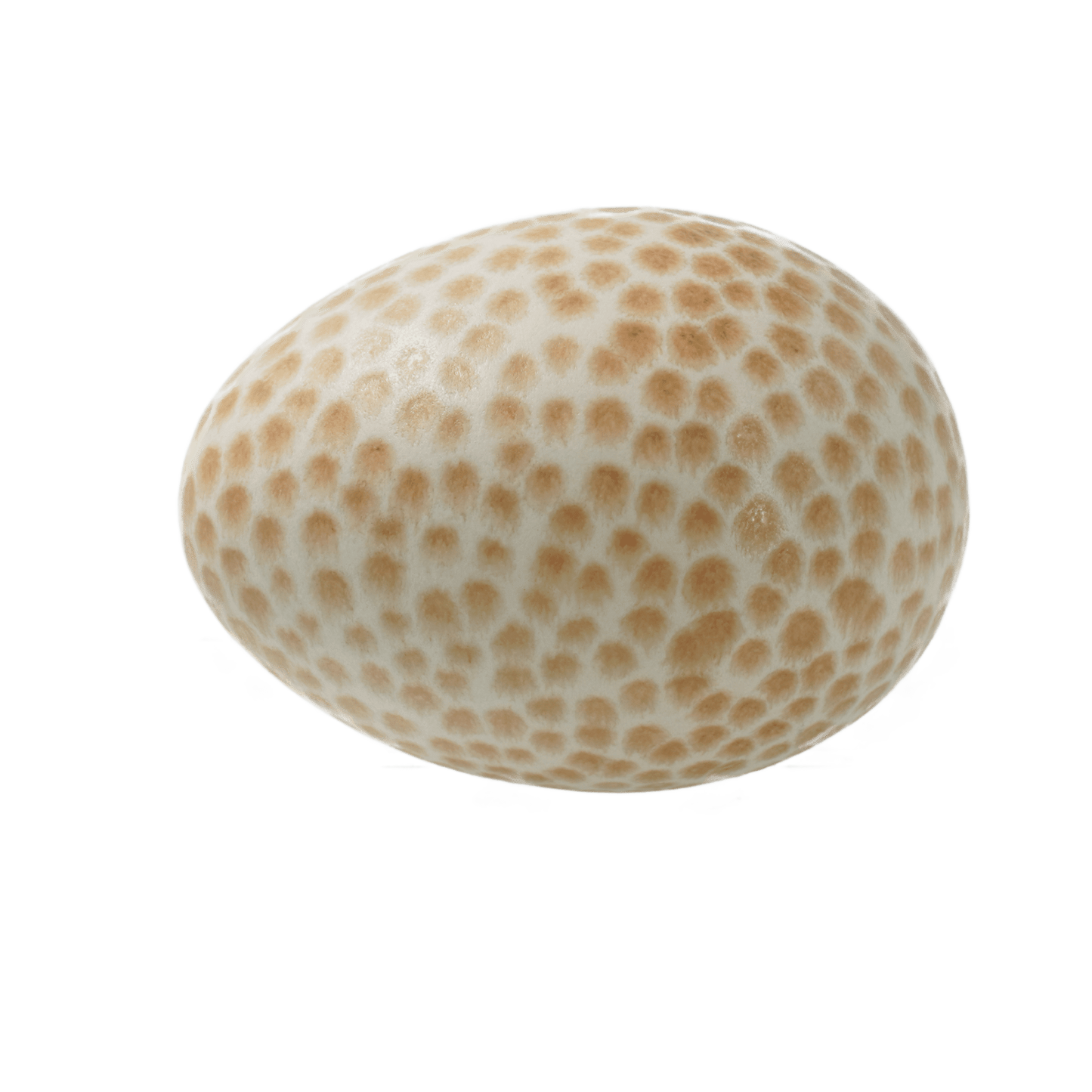 Ägg mini Prick vit/karamell