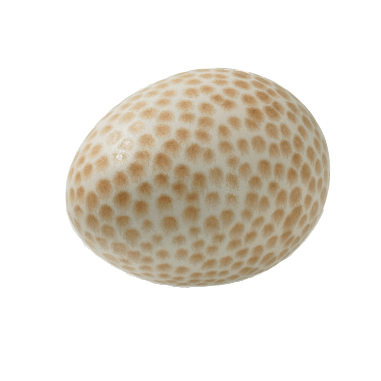 Ägg mini Prick vit/karamell