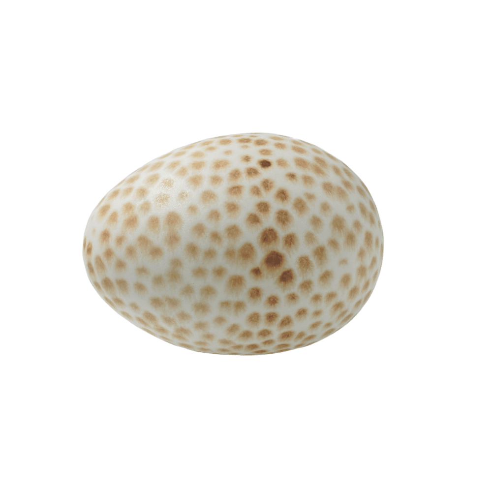 Ägg mini havre / brun