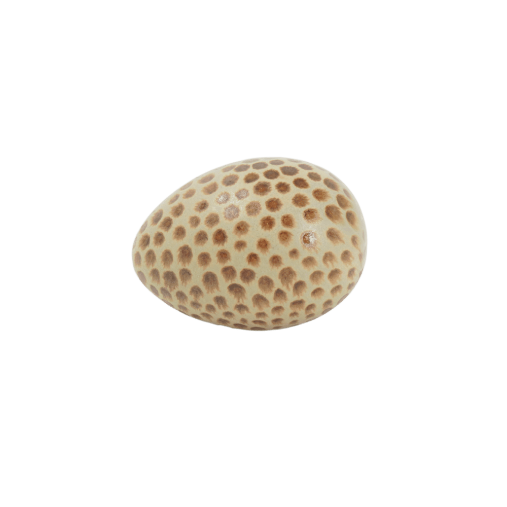 Ägg mini mini Prick natur / brun