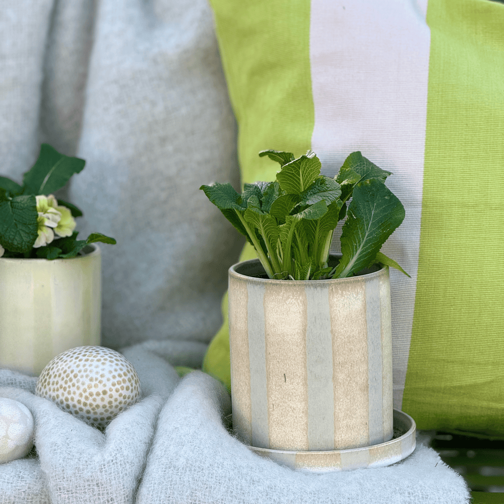 
                      
                        Pot stripe mini
                      
                    