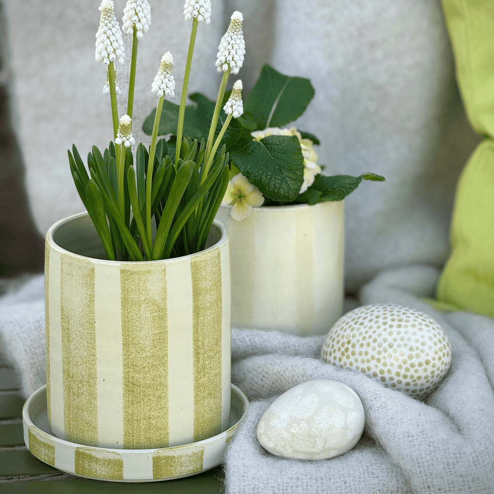 
                      
                        Pot stripe mini
                      
                    