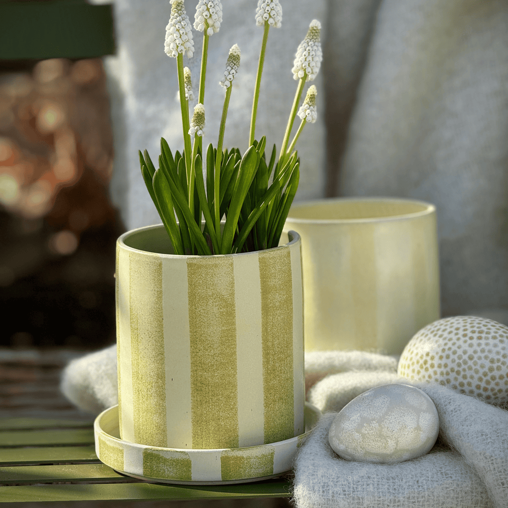 
                      
                        Pot stripe mini
                      
                    