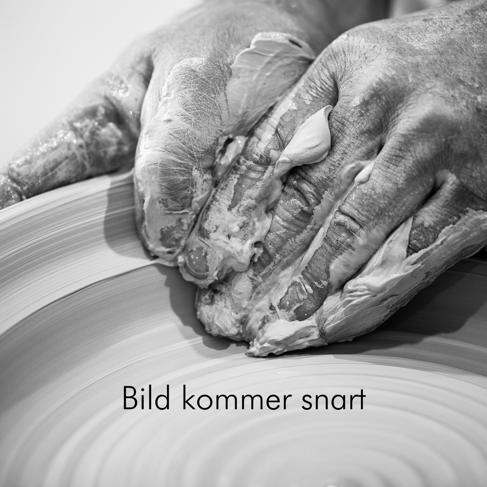 
                      
                        Fröhusvas Kapsel liten
                      
                    