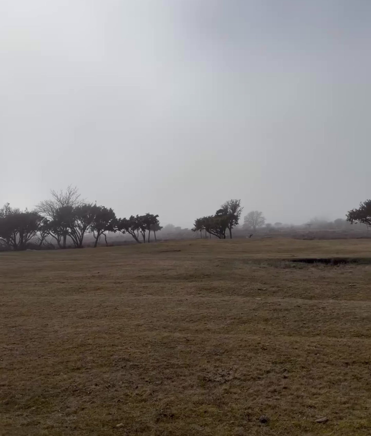 Die karge Landschaft Süd-Ölands an einem sonnendurchfluteten Morgen