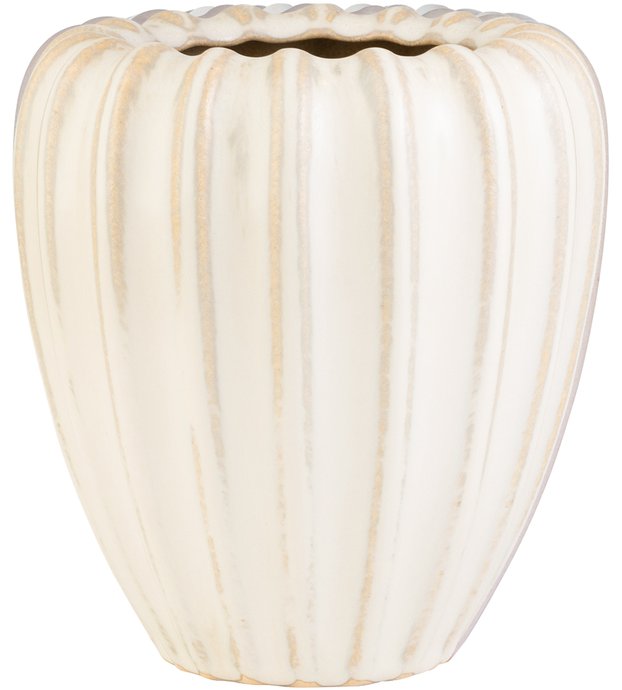 
                  
                    Samenhaus - Vasenkapsel
                  
                