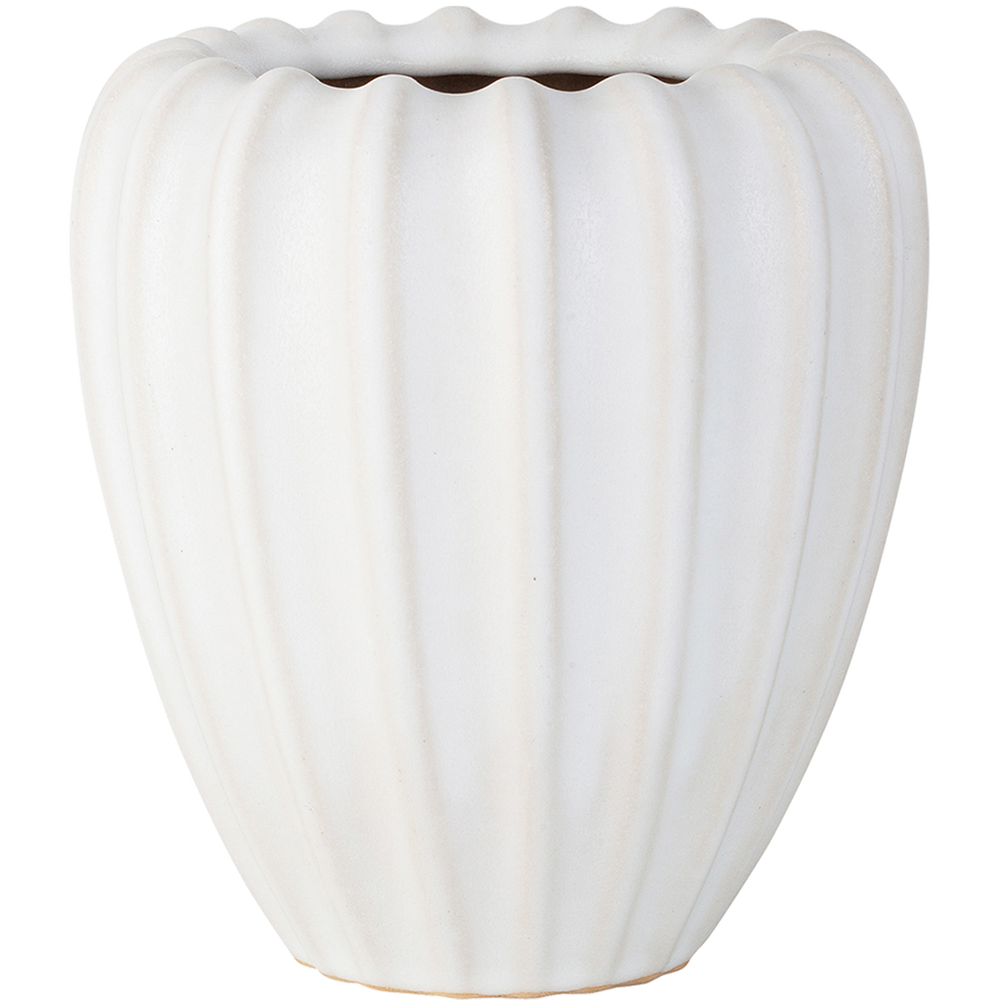 Samenhaus - Vasenkapsel