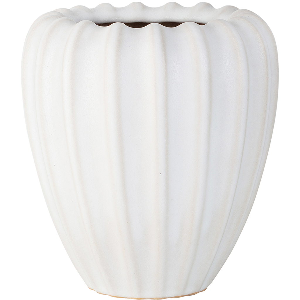 
                  
                    Samenhaus - Vasenkapsel
                  
                