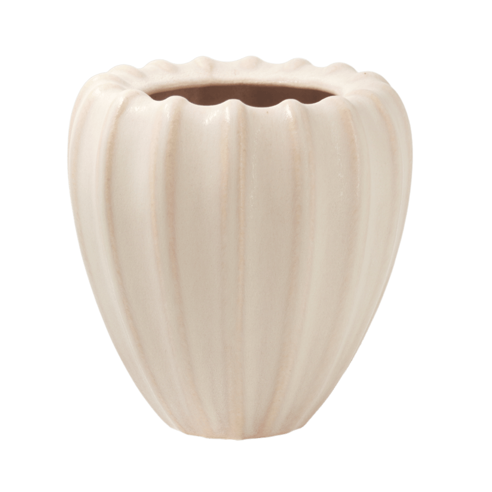 
                  
                    Samenhaus - Vase Kleine Kapsel
                  
                