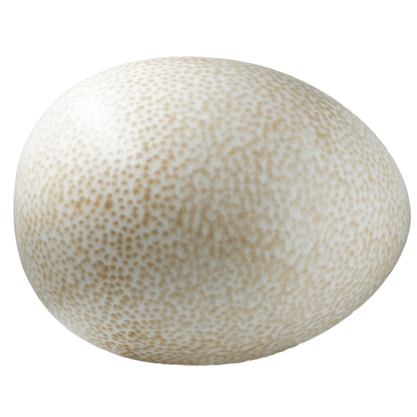 
                  
                    Egg extra large dots
                  
                