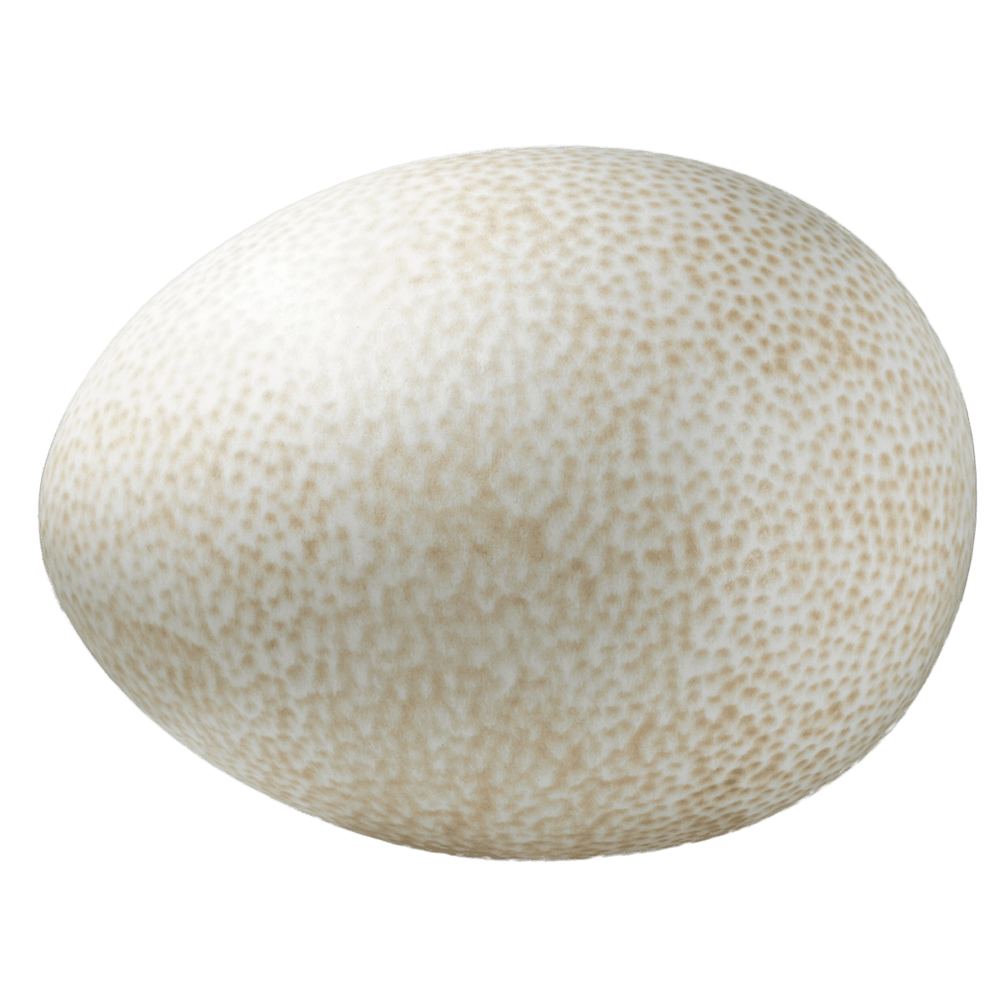 Egg extra large dots