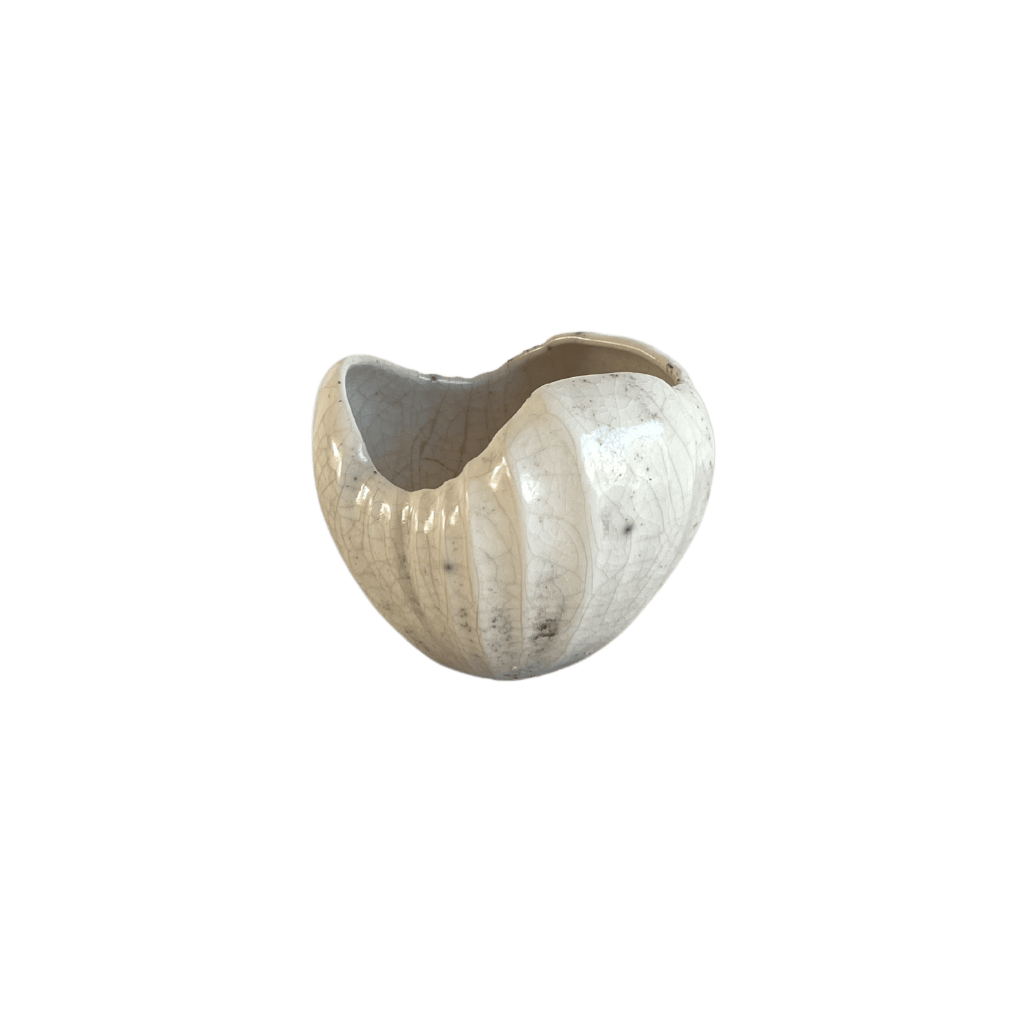 
                  
                    Seashell Raku cream
                  
                