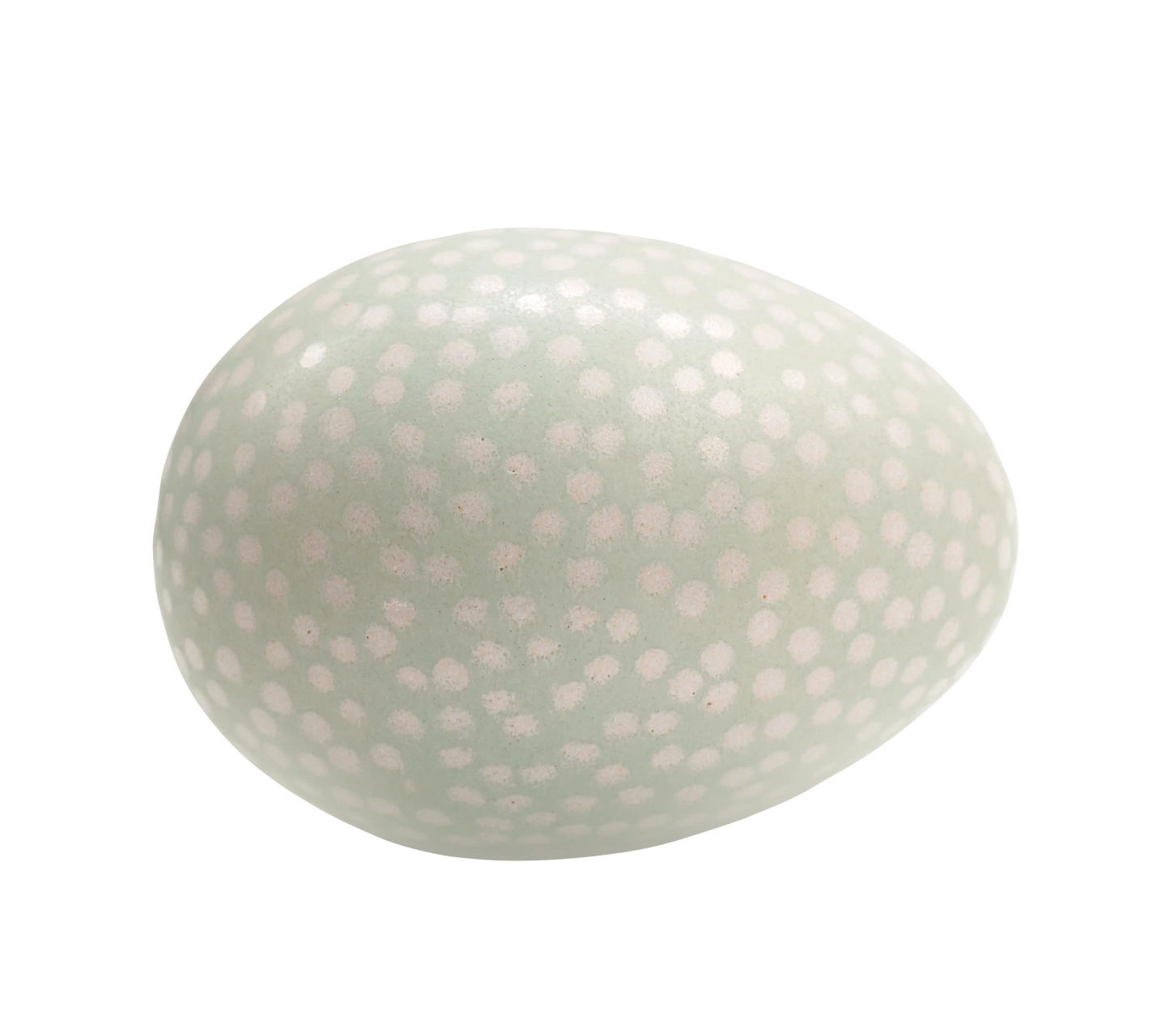 
                  
                    Egg mini lichen
                  
                