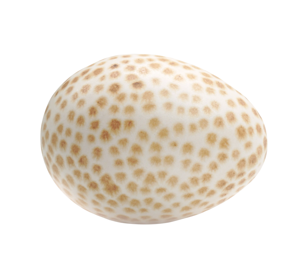 Egg mini brown